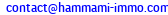 eMail de HANNIBAL IMMOBILIERE 