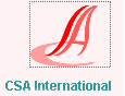 CSA International