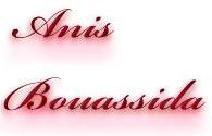 Anis Bouassida