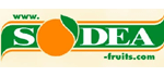 Sodea