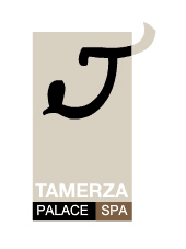H&ocirc;tel Tamerza Palace
