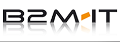 B2M IT