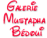 GALERIE MUSTAPHA DE DECOR :GALERIE BEDOUI DE DECOR ET DE PIERRES RECONSTITUEES