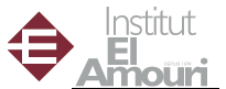 Institut El Amouri 
