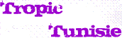 Soci&eacute;t&eacute; Tropic Tunisie