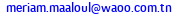 eMail de WAOO- Worldwide Agency for Offshore Outsourcing