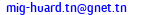eMail de MIG: MEDITERRANEAN INDUSTRIAL GROUP 