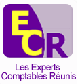 E.C.R Les Experts Comptables Réunis