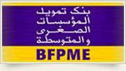 BFPME : Banque de Financement des Petites et Moyennes Entreprises