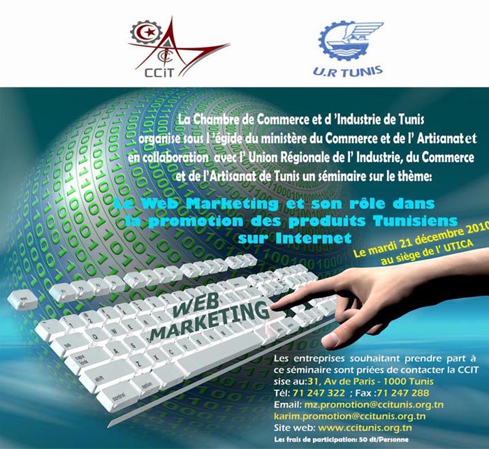 Le Web Marketing et son rôle dans la promotion des produits Tunisiens sur Internet
